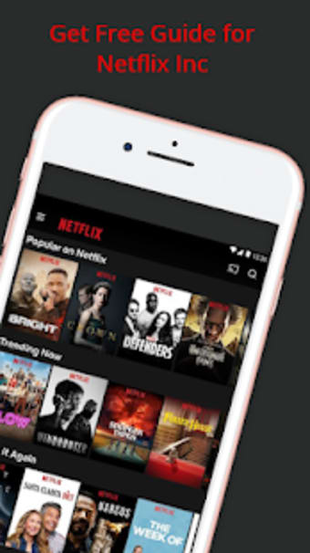 Image 0 for Guide For Netflix Inc
