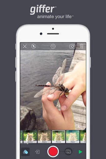 Image 0 for Giffer - Animated GIF Mak…