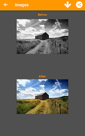 Image 1 for Black and White Photo Col…