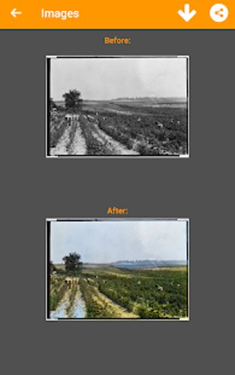 Image 3 for Black and White Photo Col…