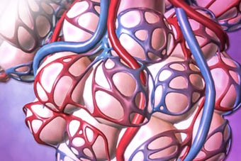 Image 0 for Physiology Animations