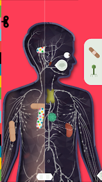 Image 3 for The Human Body by Tinybop