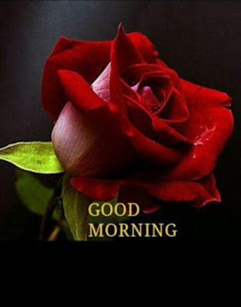Image 1 for Good Morning GIF