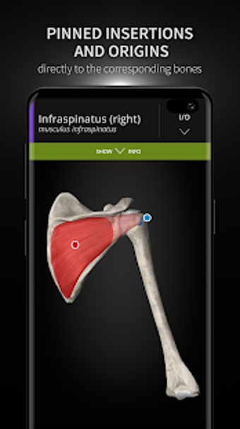 Imagen 1 para Anatomyka - 3D Human Anat…