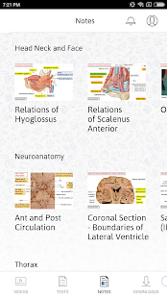 Imagen 0 para Anatomy by Dr. Ashwani Ku…