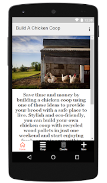 Image 0 for How To Build A Chicken Co…