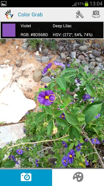 Image 2 for Color Grab