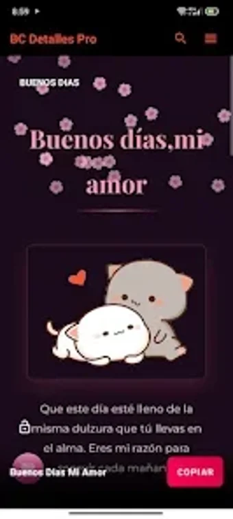 Image 0 for BC Detalles Pro