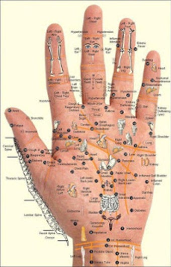Image 0 for Learn Acupressure Points …