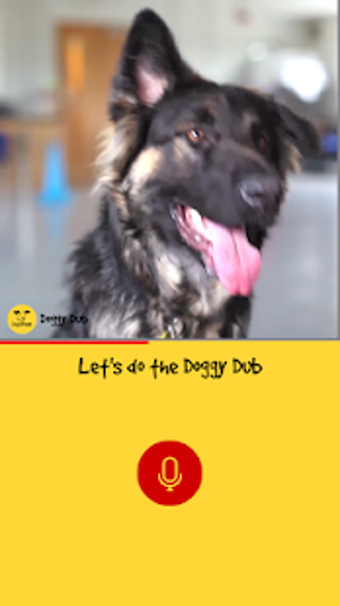 Image 1 for Dogs Trust Doggy Dub