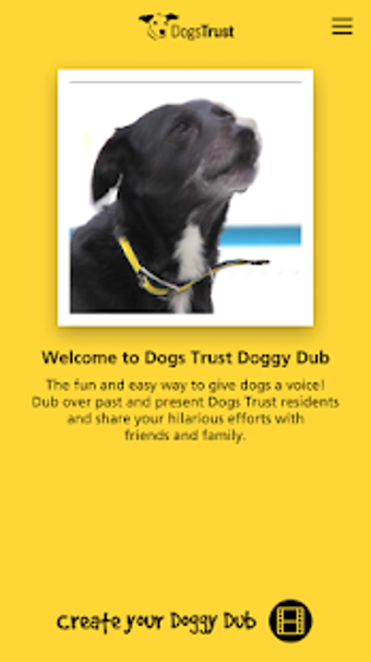 Image 0 for Dogs Trust Doggy Dub