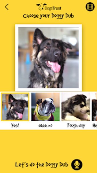 Image 3 for Dogs Trust Doggy Dub