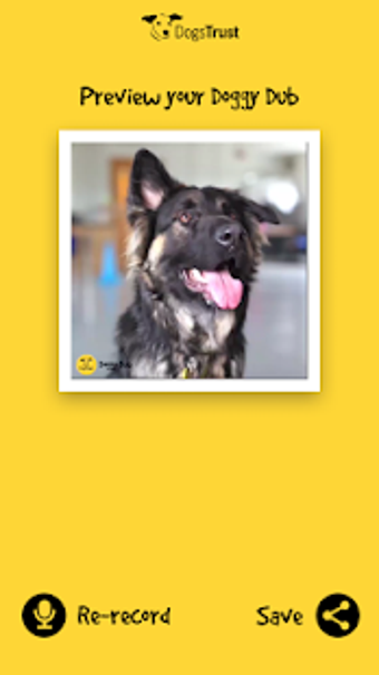 Image 2 for Dogs Trust Doggy Dub
