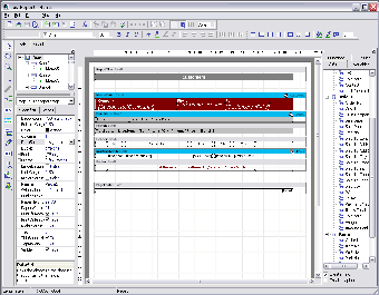 Image 0 for FastReport Studio 4