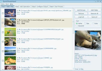 Imagen 5 para BatchPhotoRobot