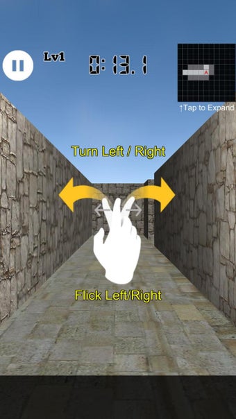 Image 1 for 3D Maze Level 100