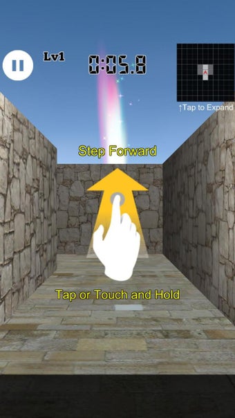 Image 3 for 3D Maze Level 100