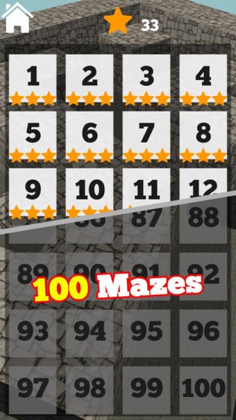 Image 0 for 3D Maze Level 100