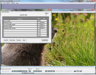 Image 0 for FutureVideo MediaPlayer