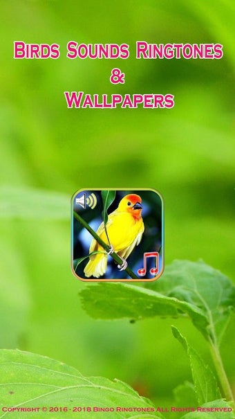 Image 2 for Birds Sounds Ringtones & …