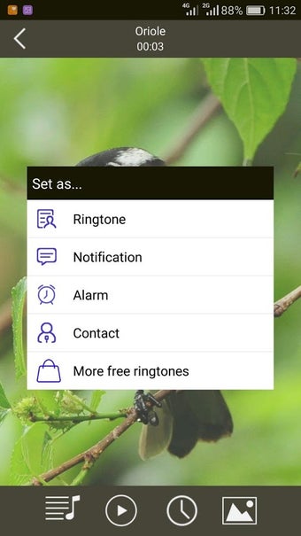 Image 1 for Birds Sounds Ringtones & …