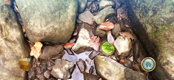 Imagen 2 para Thickety Creek