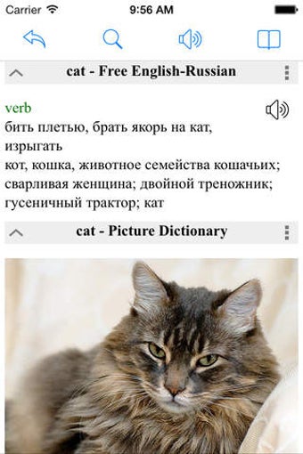 Image 0 for Russian English Dictionar…
