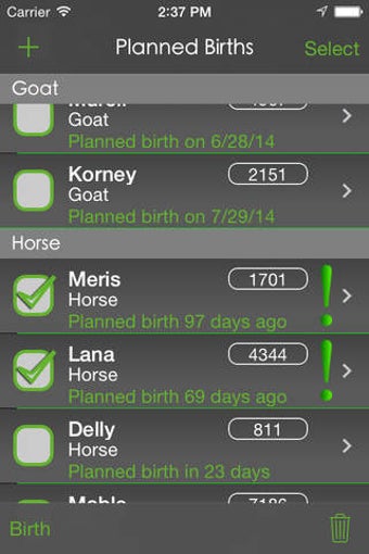 Image 0 for Birth Planner