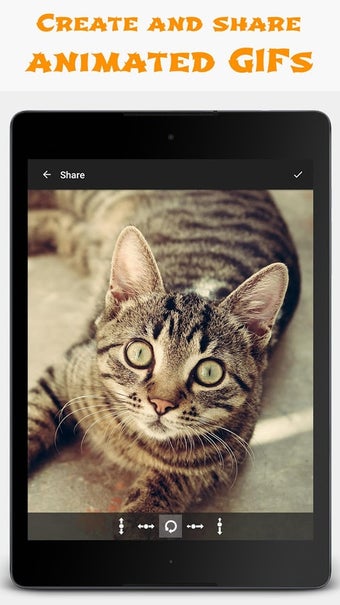 Image 2 for Jellify: Photo Effects