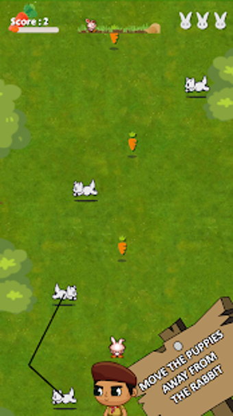 Image 2 for Rabbit Season
