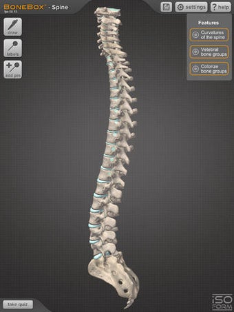 Image 0 for BoneBox - Spine Viewer