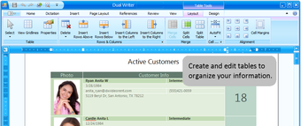 Imagen 5 para Dual Writer
