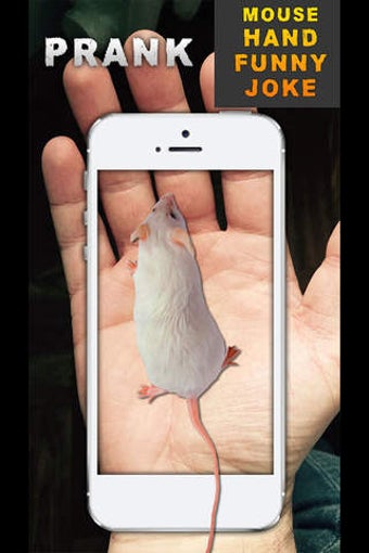 Image 0 for Mouse Hand Funny Joke