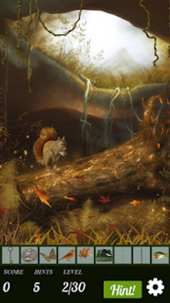Image 1 for Hidden Object: Forest Fri…
