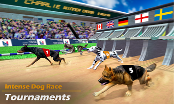 Image 2 for Racing Dog Simulator: Cra…