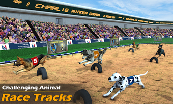 Image 1 for Racing Dog Simulator: Cra…