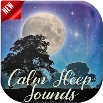 Imagen 2 para Calm Sleep Sounds