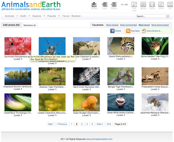Image 1 for Animal Desktop Wallpaper …
