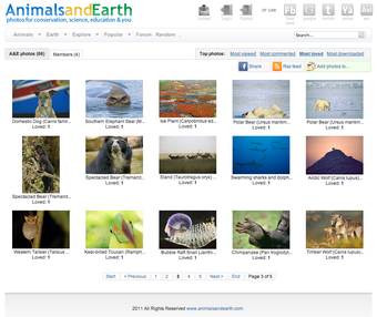 Image 2 for Animal Desktop Wallpaper …