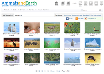 Image 4 for Animal Desktop Wallpaper …