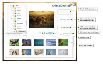 Image 0 for Animal Desktop Wallpaper …