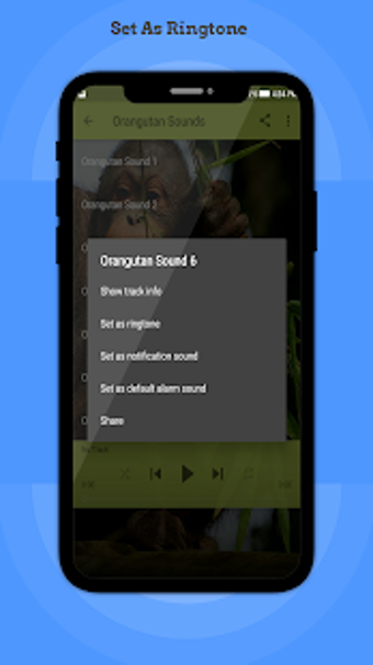 Image 2 for Orangutan Sounds