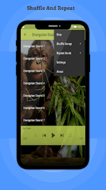 Image 3 for Orangutan Sounds
