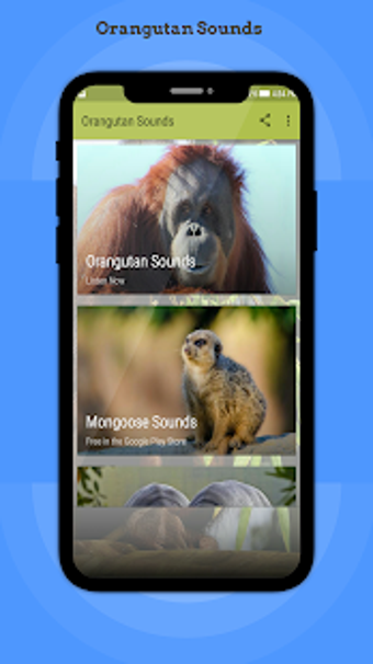 Image 0 for Orangutan Sounds