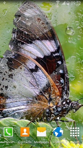 Image 0 for Rainy Flowers Live Wallpa…