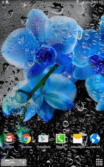 Image 1 for Rainy Flowers Live Wallpa…