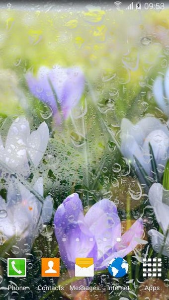 Imagen 0 para Rainy Flowers Live Wallpa…