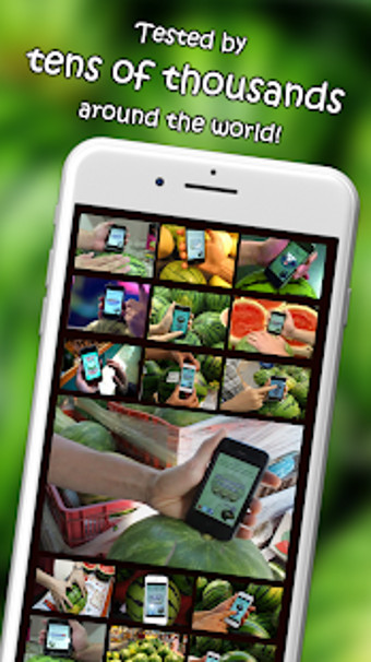 Imagen 3 para iWatermelon Deluxe