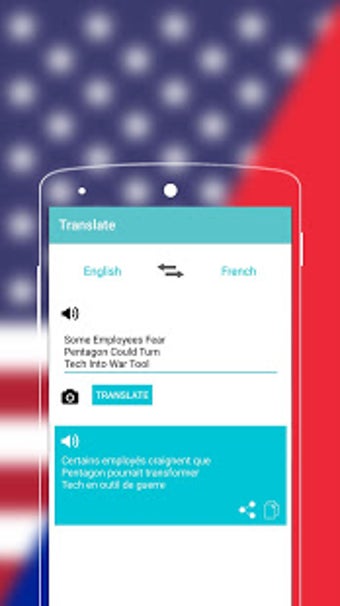 Image 0 for French to English Diction…