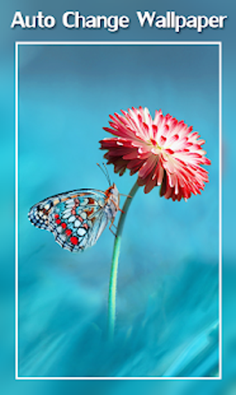 Imagen 1 para Auto Change Wallpaper